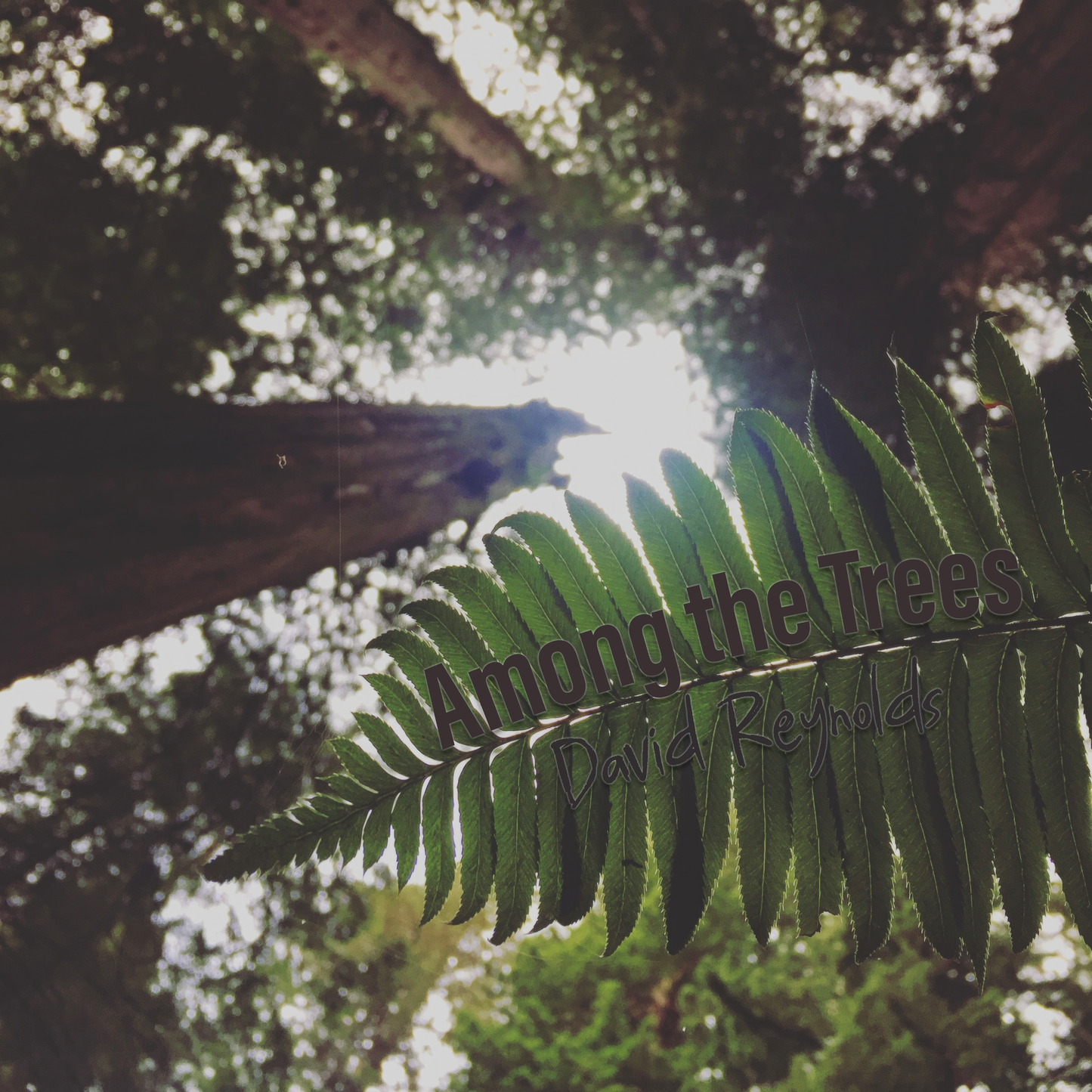 "Among the Trees" Single (Digital)